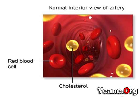 ? cholesterol  کۆلیستڕۆڵ چییه‌